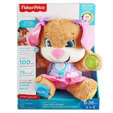 Fisher Price Eğitici Köpekçiğin Kız Kardeşi Türkçe FPP83