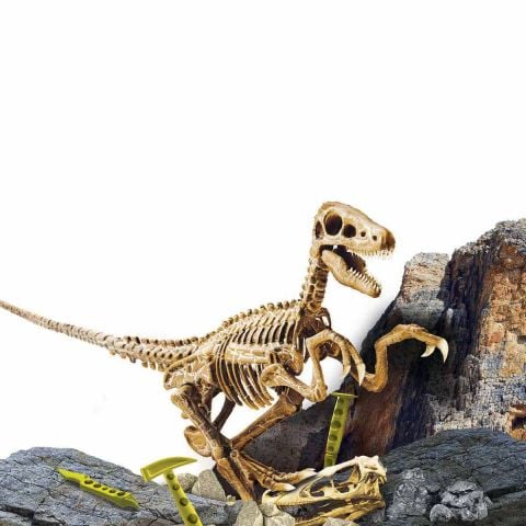 Bilim Seti: Super Kit Velociraptor