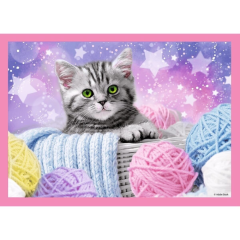 Trefl Çoçuk Fun Cats / Trefl 4 In 1 Puzzle