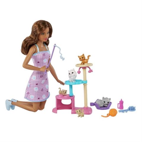 Barbie ve Yavru Kedileri Oyun Seti HHB70