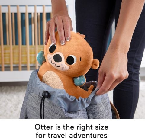 Fisher Price 2si1 Arada Su Samuru Eğlencesi HXG96