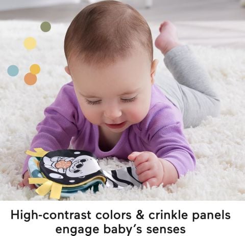 Fisher Price 2si1 Arada Su Samuru Eğlencesi HXG96