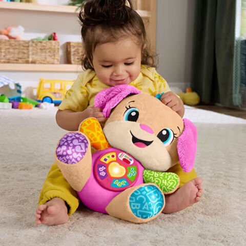 Fisher Price Köpekçiğin Kız Kardeşi Yeni JFD34