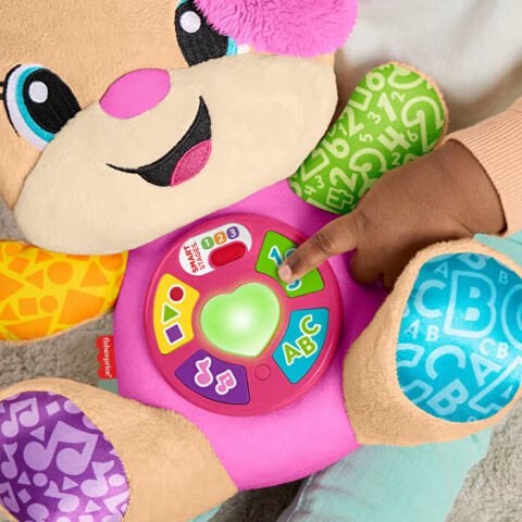 Fisher Price Köpekçiğin Kız Kardeşi Yeni JFD34