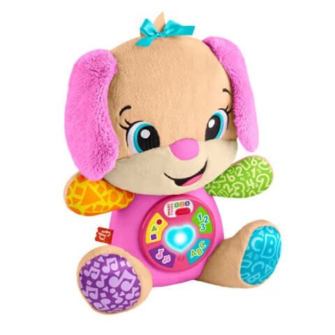 Fisher Price Köpekçiğin Kız Kardeşi Yeni JFD34