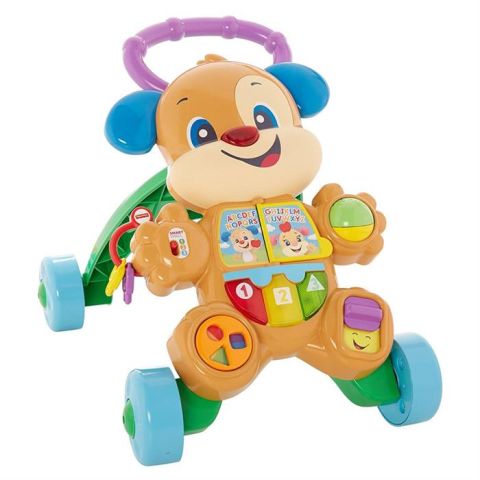 Fisher Price Eğitici Köpekçik Yürüteç Türkçe FTG10