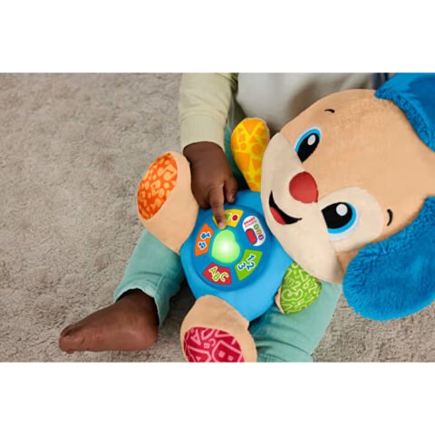 Fisher Price Eğitici Köpekçik Yeni JFD25