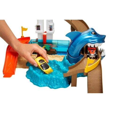 Hot Wheels Renk Değıştiren Delüks Araçlar Oyun Seti BGK04