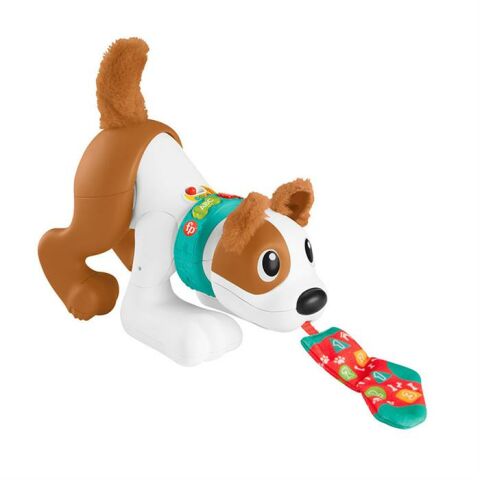 Fisher Price Emeklemeyi ve Saymayı Öğreten Köpekçik HHH13