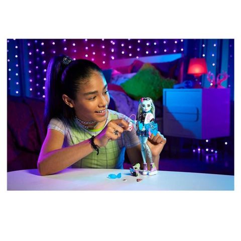 Monster High Ana Karakter Bebekler Frankie Stein HPD53-HHK53