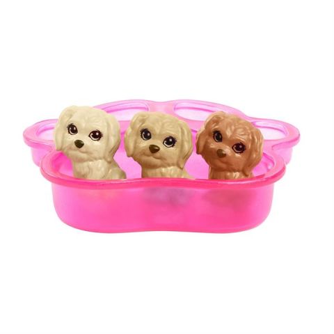 Barbie ve Yeni Doğan Köpekler Oyun Seti HCK75