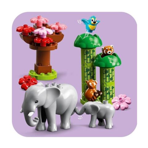 LEGO Duplo Vahşi Asya Hayvanları 10974